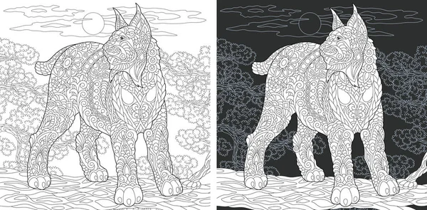 Boyama sayfası. Boyama kitabı. Boyama resimle zentangle tarzda çizilmiş yaban kedisi. Antistress serbest kroki çizim. Vektör çizim.