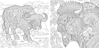 Boyama sayfaları. Boyama kitabı yetişkinler için. Boyama resimleri buffalo ve bison. Doodle ve zentangle öğeleri ile çizim antistress serbest kroki.