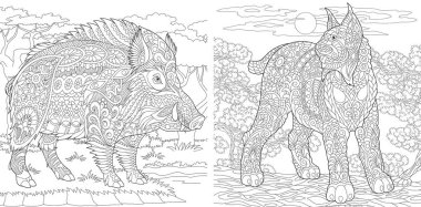 Boyama sayfaları. Boyama kitabı yetişkinler için. Boyama resimleri yaban kedisi ve yaban domuzu. Doodle ve zentangle öğeleri ile çizim antistress serbest kroki.
