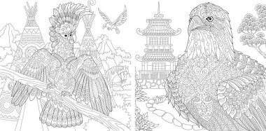 Boyama sayfaları. Boyama kitabı yetişkinler için. Boyama resimleri Kakadu ve kartal. Doodle ve zentangle öğeleri ile çizim antistress serbest kroki.