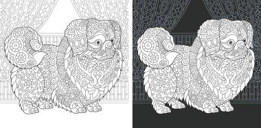 Boyama sayfası. Boyama kitabı. Pekingese ya da Japon Chin zentangle tarzda çizilmiş köpek boyama resimle. Antistress serbest kroki çizim. Vektör çizim.