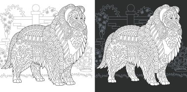 Köpek. Boyama sayfası. Boyama kitabı. Boyama resimle rough collie zentangle tarzda çizilmiş. Antistress serbest kroki çizim. Vektör çizim.