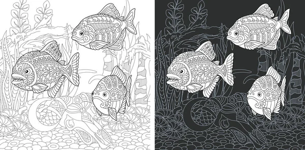 Coloriage Livre Colorier Image Colorier Avec Piranha Fish Dessinée Dans — Image vectorielle