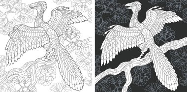 Boyama sayfası. Dinozor koleksiyonu. Zentangle tarzda çizilmiş Archeopteryx ile boyama resmi. 
