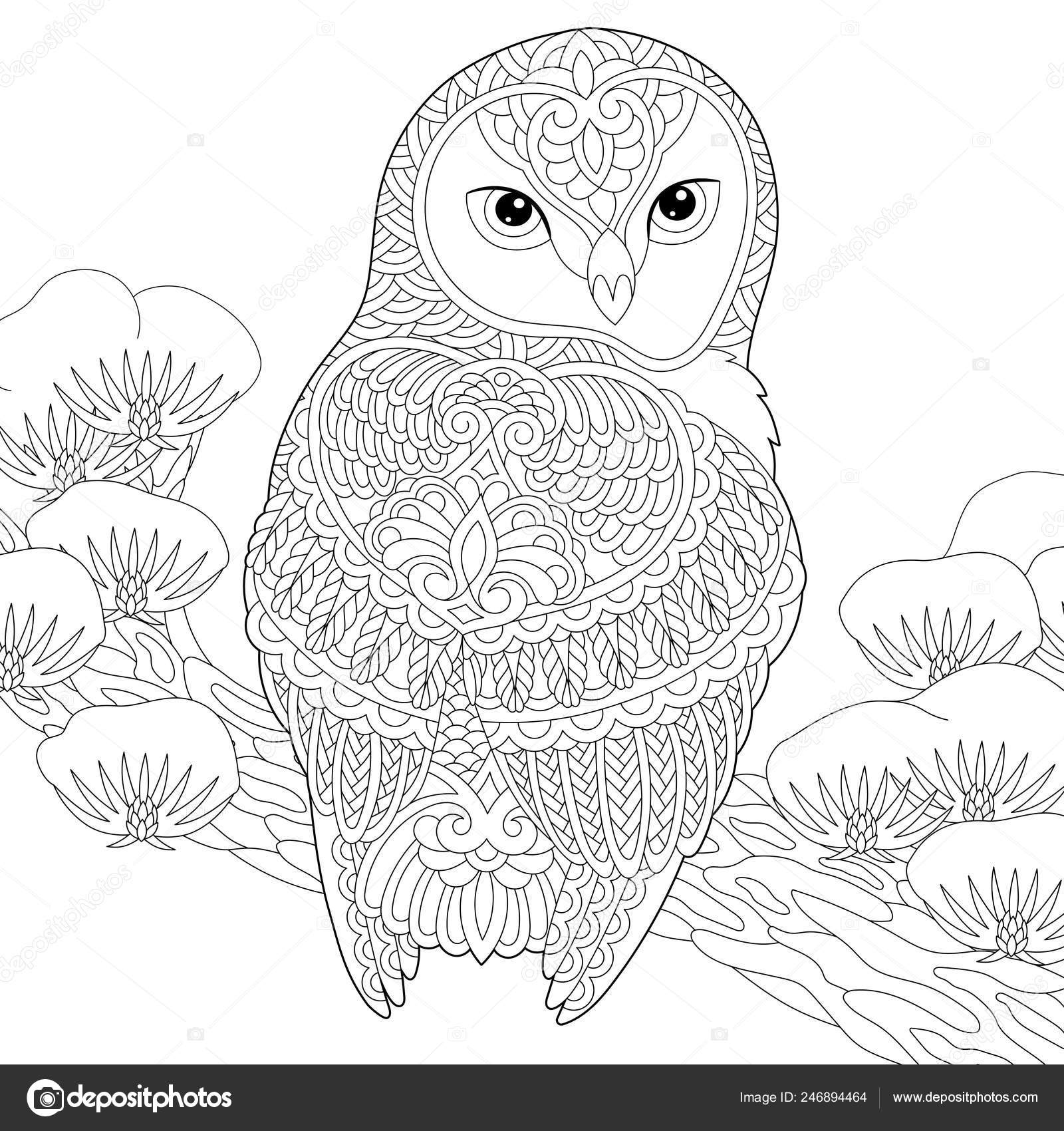 88+ Coloring Book Owl HD 88+ Coloring Book Owl HD
