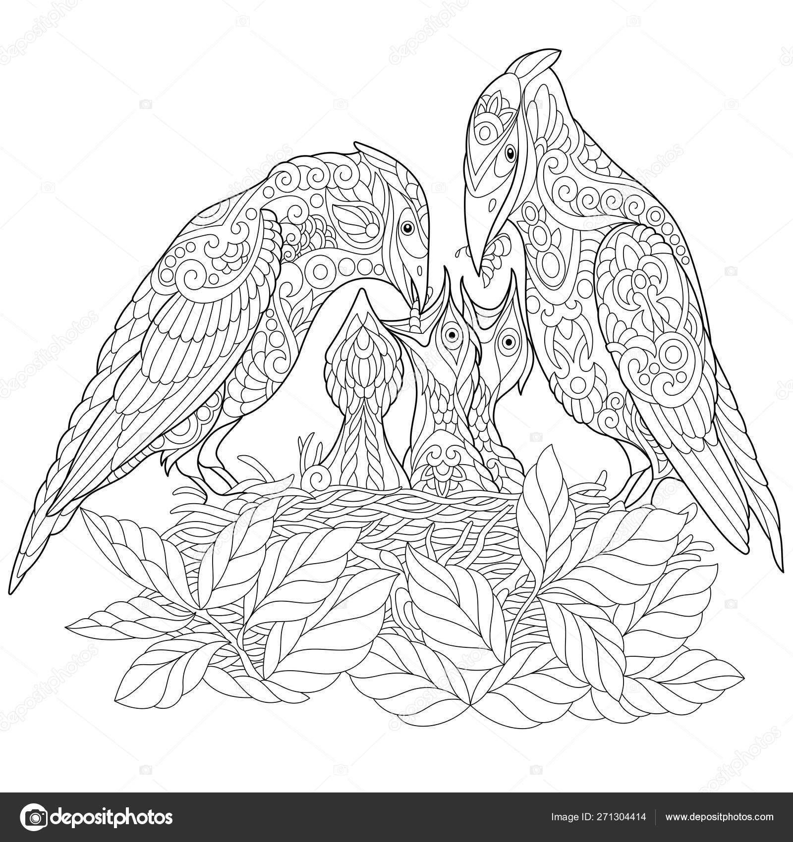 Zentangle spring birds coloring page Stock Vector Image by ...