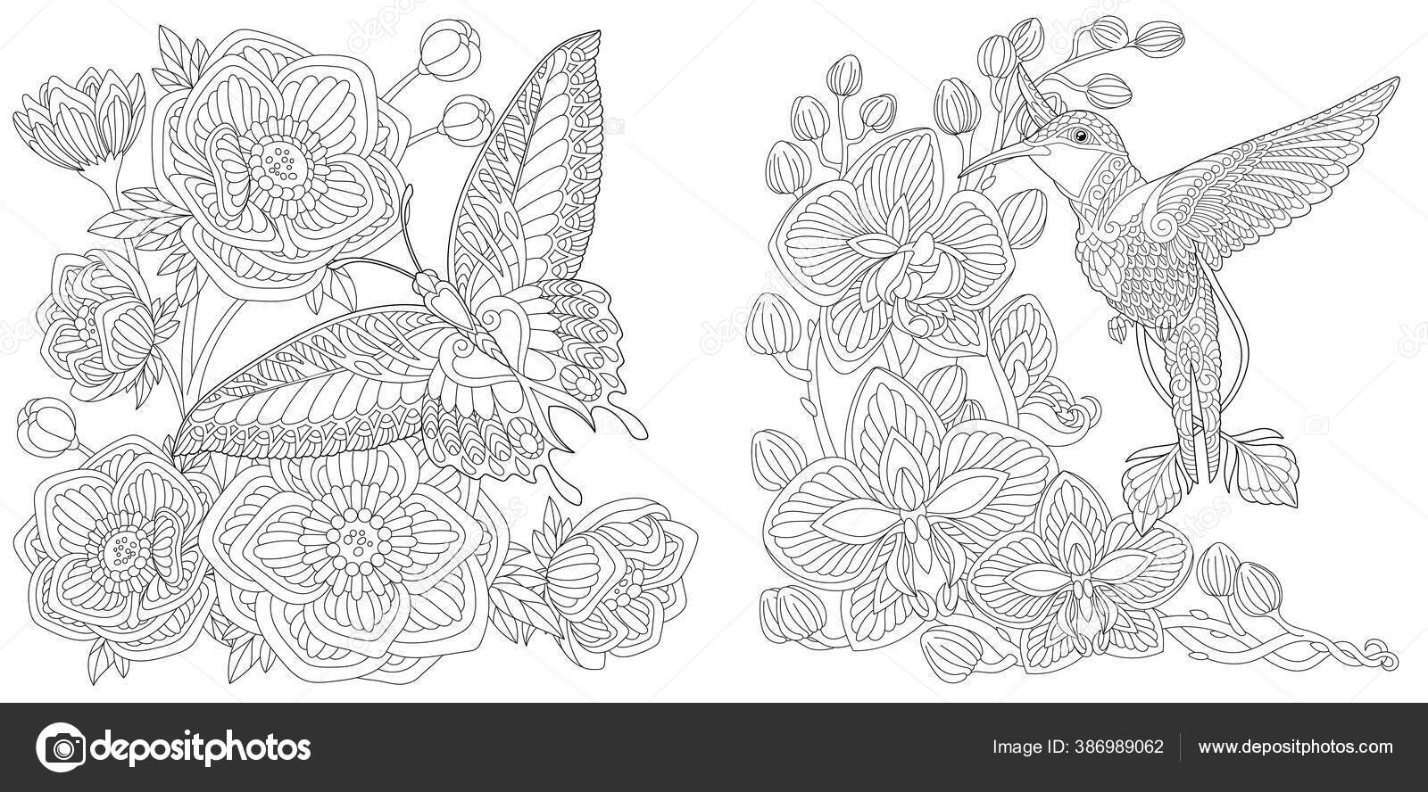Coloring Pages Butterfly Peony Flowers Hummingbird Orchid Flower ...