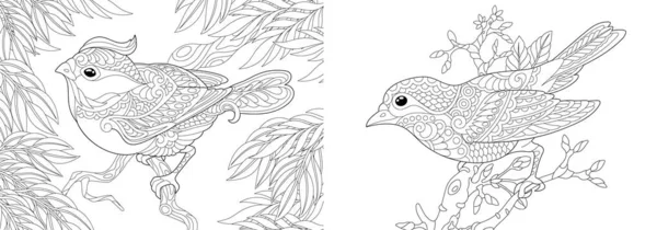 Kolorowanki Dekoracyjne Ptaki Ogrodzie Linia Art Design Dla Dorosłych Kolorowanki — Wektor stockowy