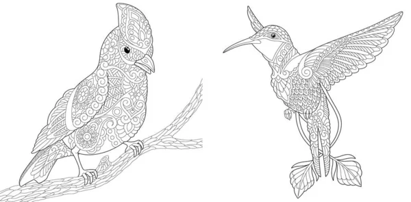 색칠하는 페이지 북부붉은 홍관조와 벌새가 성인용 디자인에 낙서와 Zentangle 요소가 — 스톡 벡터