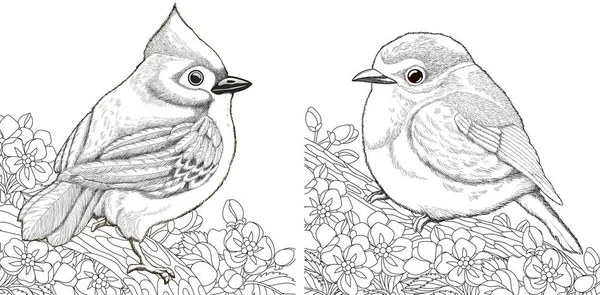 Coloriages Deux Oiseaux Assis Sur Une Branche Arbre Fleurs Cerisier — Image vectorielle