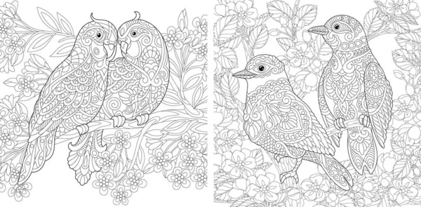 Páginas Para Colorear Par Pájaros Encantadores Jardín Flores Primavera Diseño — Vector de stock