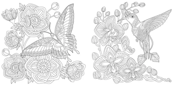 Kleurplaten Vlinder Pioenroos Bloemen Kolibrie Orchidee Bloem Line Art Design — Stockvector