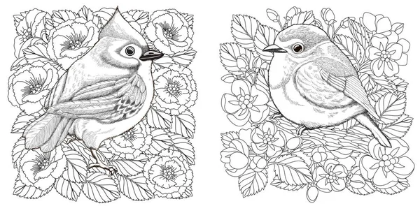 Páginas Para Colorear Dos Pájaros Entre Hermosas Flores Florecientes Diseño — Vector de stock