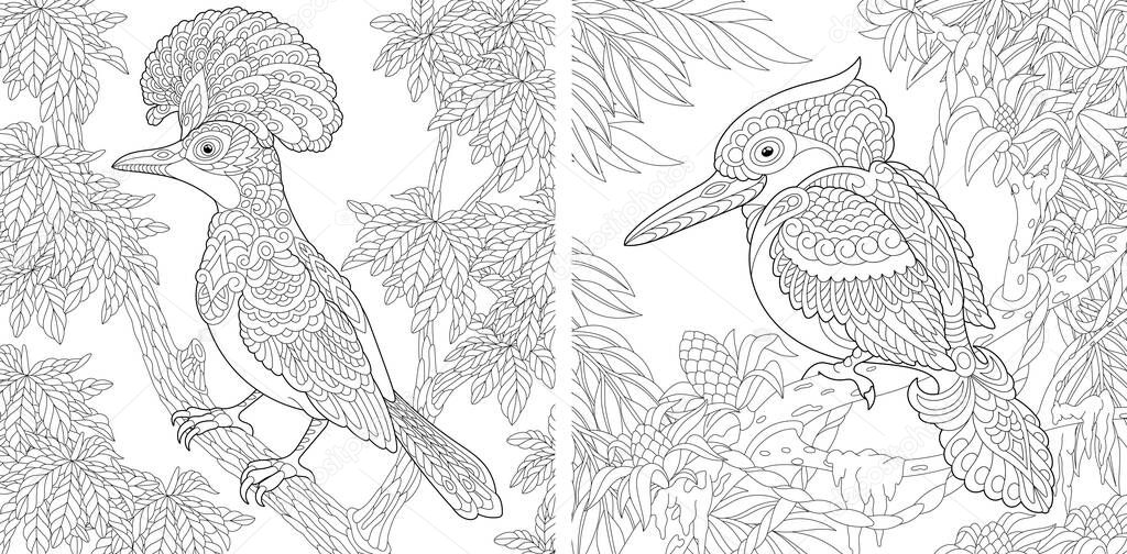 Coloring pages. Hoopoe bird and Australian laughing kookaburra or kingfisher. Line art design for adult colouring book with doodle and zentangle elements. Vector illustration.
