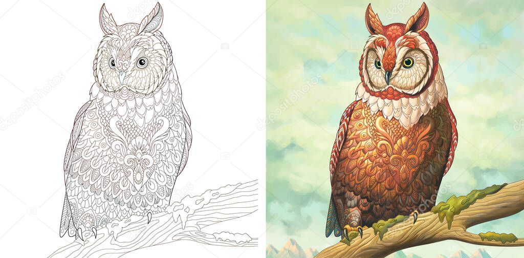 Adult coloring page. Owl bird. Colorless and color sample painted in watercolor imitating style. Coloring design with doodle and zentangle elements. Vector illustration. 