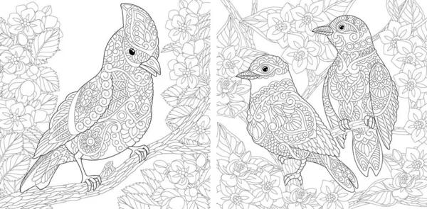 Coloring Page Birds Floral Garden Line Art Drawing Adult Kids — Stock Vector