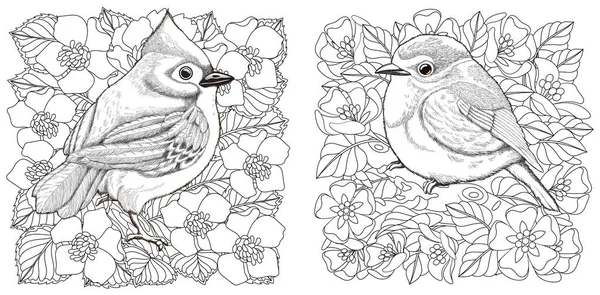 Coloring Page Two Birds Flowers Line Art Drawing Adult Kids — Stock Vector