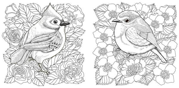 Página Para Colorear Pájaros Flores Dibujo Línea Arte Para Adultos — Vector de stock