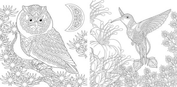 Coloring Page Owl Hummingbird Line Art Drawing Adult Kids Coloring — Stock Vector