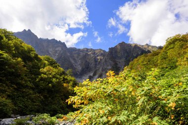 Mt.Tanigawa Japonya erken sonbahar