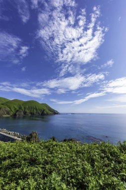 Yaz görünümünde Rebun Island, Japonya