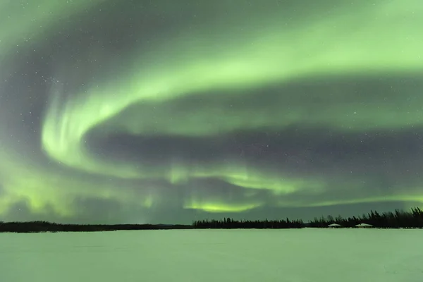 Aurora Borealis Vid Chena Insjöar Alaska — Stockfoto