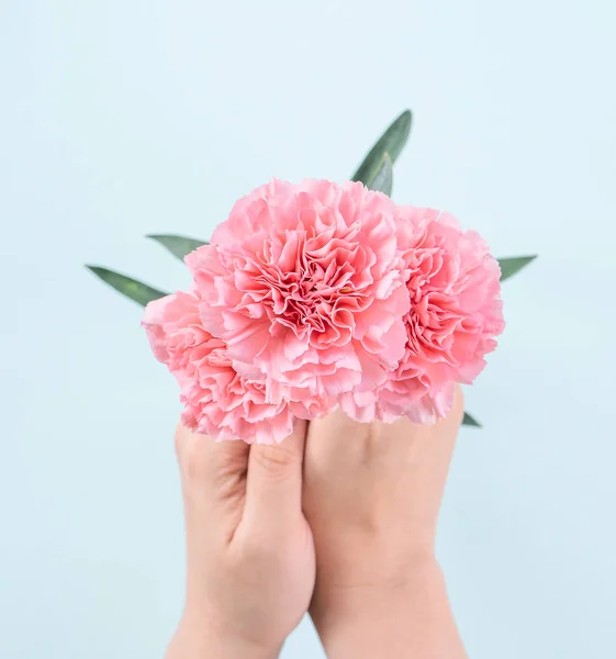 Woman giving bunch of elegance blooming baby pink color tender carnations isolated on pale blue background, mothers day decor design concept, top view, close up, copy space