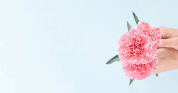 Mujer dando ramo de la elegancia floreciente bebé color rosa tiernos claveles aislados sobre fondo azul pálido, madres concepto de diseño de la decoración del día, vista superior, primer plano, espacio de copia — Foto de Stock