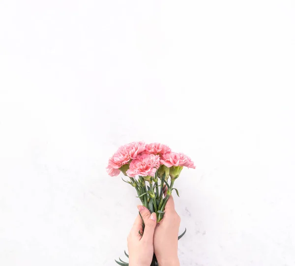 Woman giving bunch of elegance blooming baby pink color tender carnations isolated on bright marble background, mothers day decor design concept, top view, close up, copy space