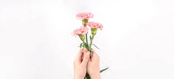 Woman giving bunch of elegance blooming baby pink color tender carnations isolated on bright marble background, mothers day decor design concept, top view, close up, copy space