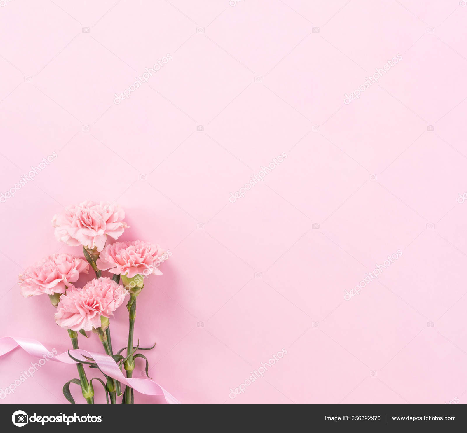 Pink Background Baby gambar ke 9