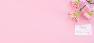Parlak pembe arka plan üzerinde izole güzel taze çiçeklenme bebek pembe renk ihale karanfil, anneler günü sayesinde tasarım kavramı, üst görünüm, düz yatıyordu, kopya alanı, kapatmak, alay