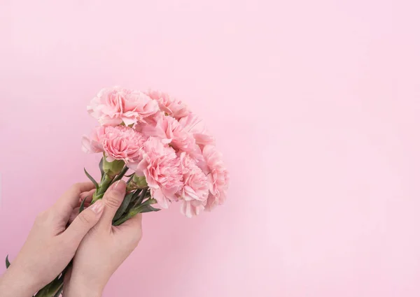 Kadın Elegance çiçek açan bebek pembe renk ihale karanfil soluk pembe arka plan, anneler gün dekor tasarım kavramı, üst görünüm, yakın yukarı, kopya alanı izole çiçeklenme