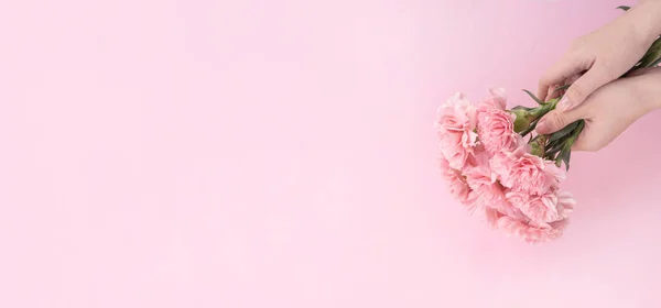 Krásný čerstvý kvetoucí dětský růžový karnace, izolované na jasně růžovém pozadí, matky den poděkování design, vrcholový pohled, plochý ležel, kopírovací prostor, zblízka, předstíraná — Stock fotografie