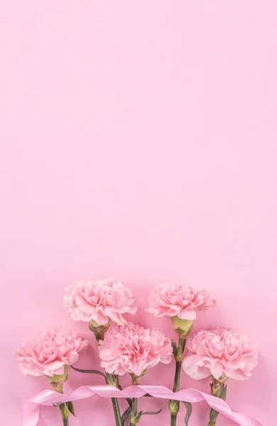 Beautiful fresh blooming baby pink color tender carnations isolated on bright pink background, mothers day thanks design concept, top view, flat lay, copy space, close up, mock up — стоковое фото