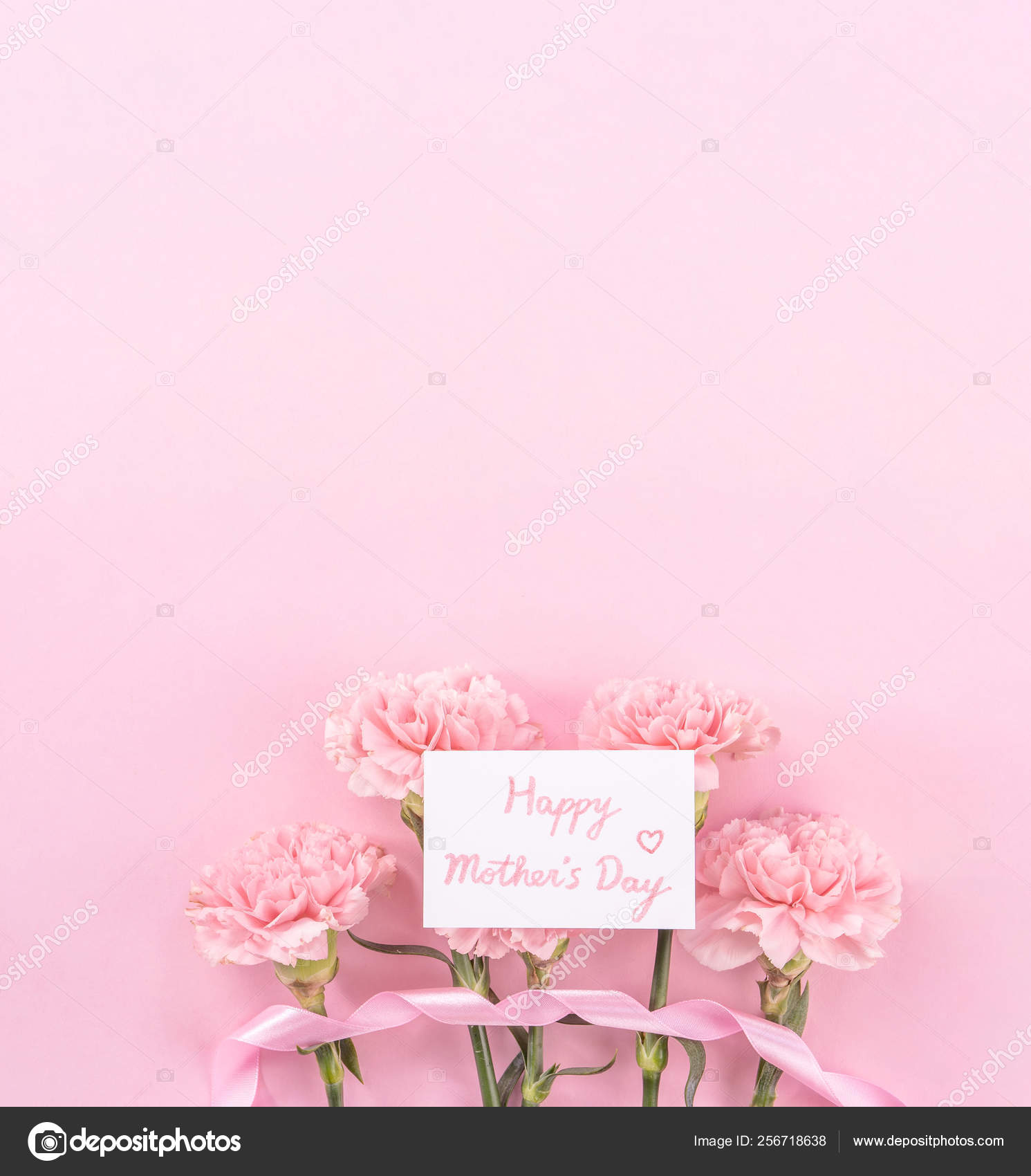 Draufsicht Flay Copy Space Nahaufnahme Mock Up Muttertag Dank Designkonzept Schone Frisch Bluhende Baby Rosa Farbe Nelken Isoliert Auf Leuchtend Rosa Hintergrund Stockfoto C Romixcontact Gmail Com 256718638