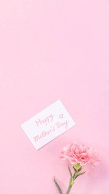 Üst görünüm, düz yatıyordu, mock up, kopya alanı, el yazısı tebrik kartı şablon soluk pembe arka plan ile izole, teşekkür fikir kavramı, dilek, zanaat karanfil buket