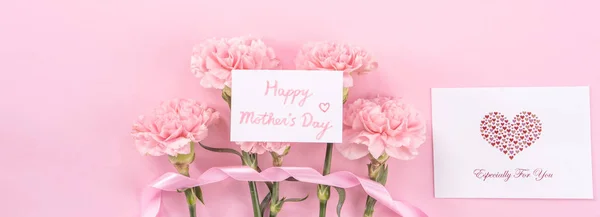 Top view, flay lay, copy space, close up, mock up, mothers day thanks design concept. Beautiful fresh blooming baby pink color carnations isolated on bright pink background — Stock Photo, Image