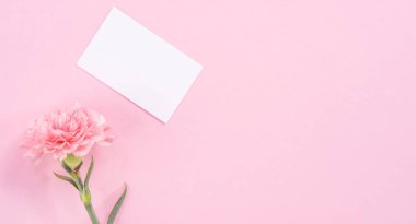 Üst görünüm, düz yatıyordu, mock up, kopya alanı, el yazısı tebrik kartı şablon soluk pembe arka plan ile izole, teşekkür fikir kavramı, dilek, zanaat karanfil buket