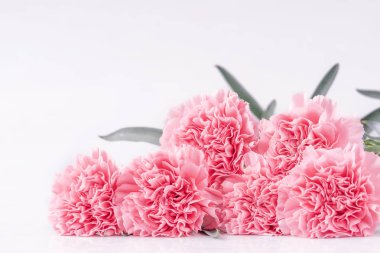 Üstte ön görünüm, kopyalama alanı, yakın, alay, yol kırpma. Anneler günü konsept tasarımı. Parlak beyaz arka plan üzerinde izole güzel taze çiçekbebek pembe renk karanfiller.