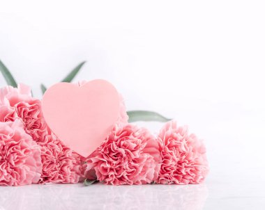 Üstte ön görünüm, kopyalama alanı, yakın, alay, yol kırpma. Anneler günü konsept tasarımı. Parlak beyaz arka plan üzerinde izole güzel taze çiçekbebek pembe renk karanfiller.