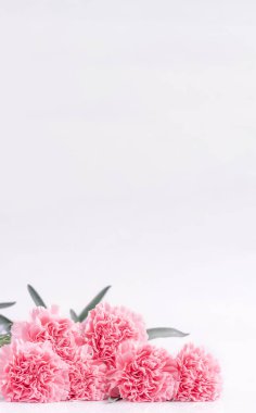 Üstte ön görünüm, kopyalama alanı, yakın, alay, yol kırpma. Anneler günü konsept tasarımı. Parlak beyaz arka plan üzerinde izole güzel taze çiçekbebek pembe renk karanfiller.