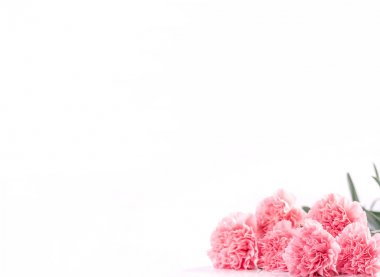 Üstte ön görünüm, kopyalama alanı, yakın, alay, yol kırpma. Anneler günü konsept tasarımı. Parlak beyaz arka plan üzerinde izole güzel taze çiçekbebek pembe renk karanfiller.