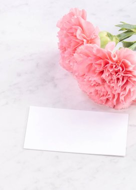 Alanı kopyala, kapat, alay et, yolu kırp. Anneler günü ifade konsept tasarımı. Parlak mermer arka plan üzerinde izole güzel taze çiçekbebek pembe renk karanfiller.