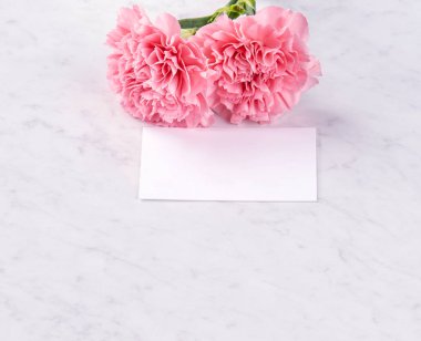 Alanı kopyala, kapat, alay et, yolu kırp. Anneler günü ifade konsept tasarımı. Parlak mermer arka plan üzerinde izole güzel taze çiçekbebek pembe renk karanfiller.