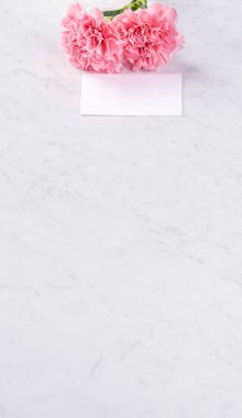 Alanı kopyala, kapat, alay et, yolu kırp. Anneler günü ifade konsept tasarımı. Parlak mermer arka plan üzerinde izole güzel taze çiçekbebek pembe renk karanfiller.