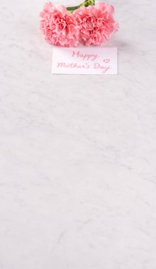 Alanı kopyala, kapat, alay et, yolu kırp. Anneler günü ifade konsept tasarımı. Parlak mermer arka plan üzerinde izole güzel taze çiçekbebek pembe renk karanfiller.