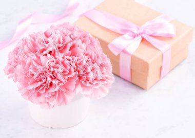 Alanı kopyala, kapat, alay et, yolu kırp. Anneler günü ifade konsept tasarımı. Parlak mermer arka plan üzerinde izole güzel taze çiçekbebek pembe renk karanfiller.