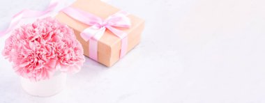 Alanı kopyala, kapat, alay et, yolu kırp. Anneler günü ifade konsept tasarımı. Parlak mermer arka plan üzerinde izole güzel taze çiçekbebek pembe renk karanfiller.