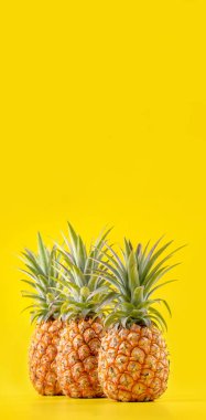 Parlak sarı arka plan izole güzel taze ananas, yaz mevsim meyve tasarım fikir desen kavramı, kopya alanı, yakın